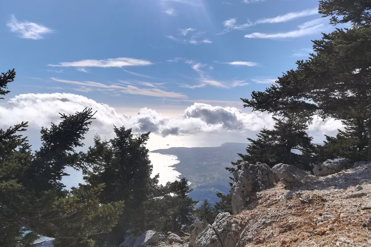 Firs and pale rock on top of Ainos, with clouds below and the sea and the island's coast beyond