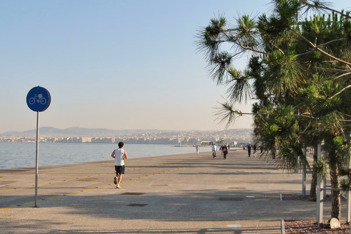 A runner on a wide seafront promenade with pines, the city behind