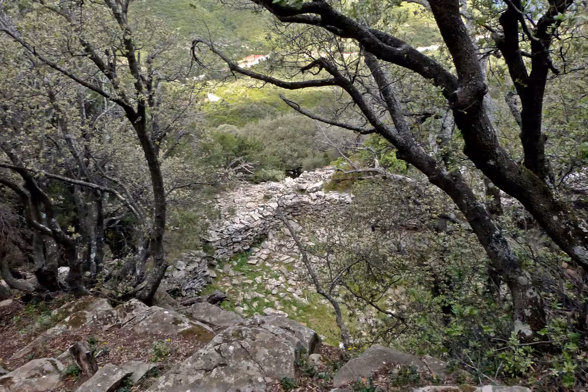 A stony path between trees and schist slabs on the dragon-house hill above Styra