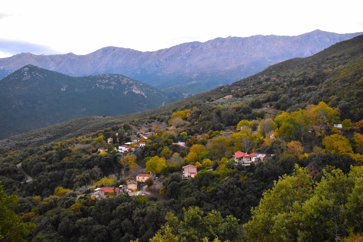 A small village among trees in autumn colours on a wooded slope, with a long bare mountain ridge behind