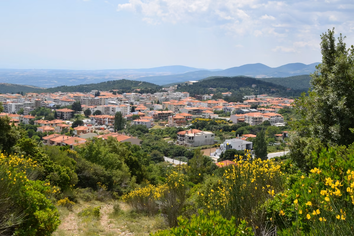 A town of red roofs spread over a green hillside, seen past yellow broom