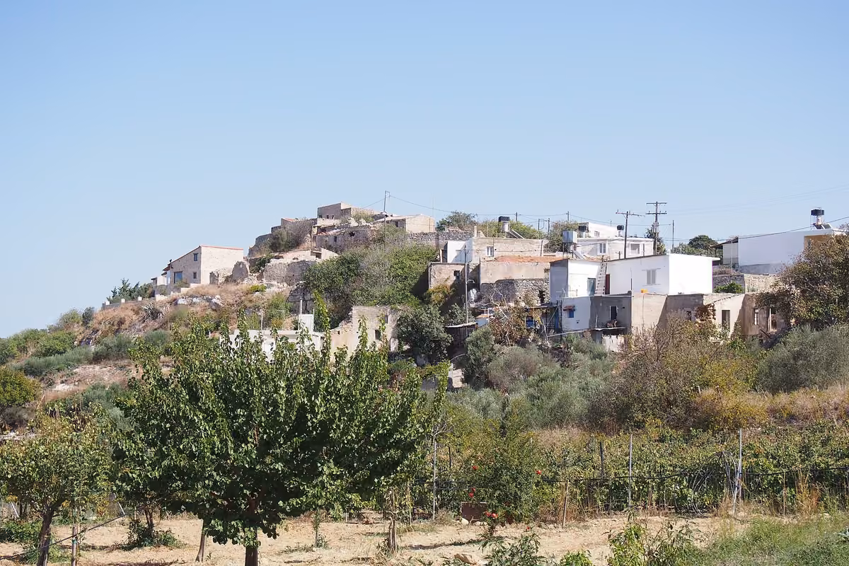 Houses of a hill village above an orchard