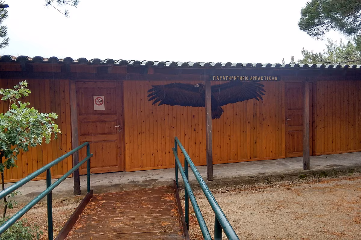 The long wooden raptor observatory of the Dadia forest, with painted vulture silhouettes over its doors and a railed walkway in front