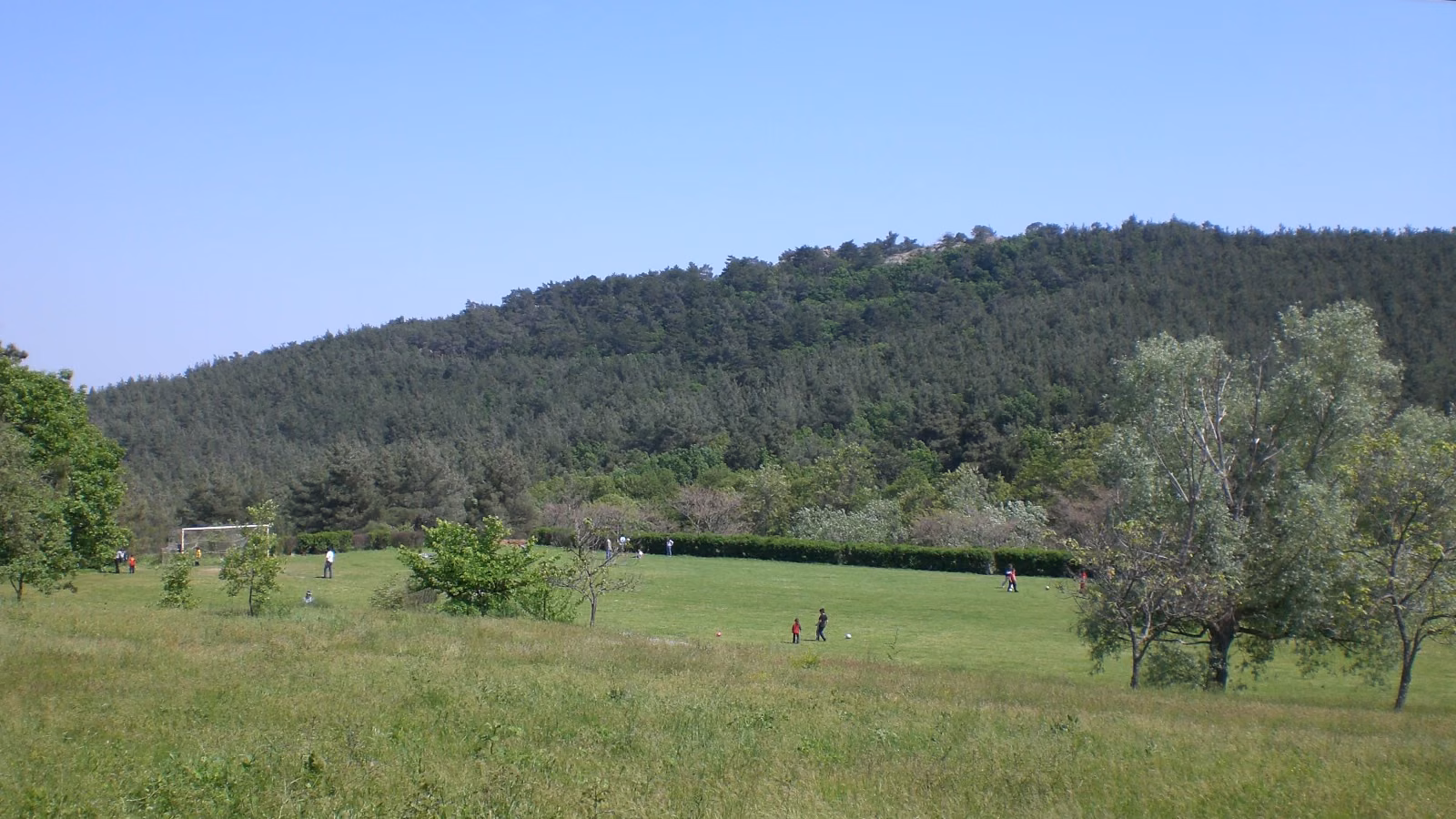 Dadia Trail Run