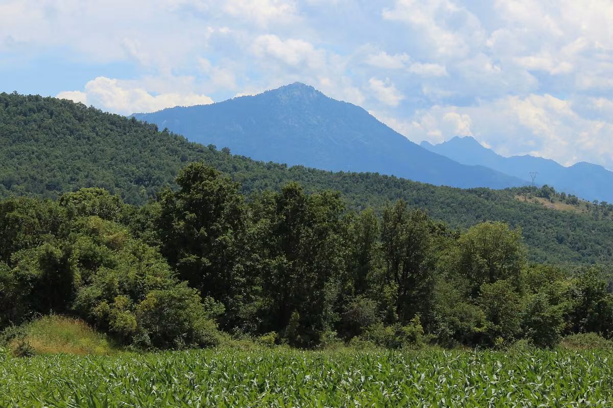 The peak of Koziakas rising above wooded foothills and a green field