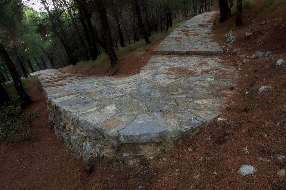 A wide stone-paved path climbing through pine forest on Hydra