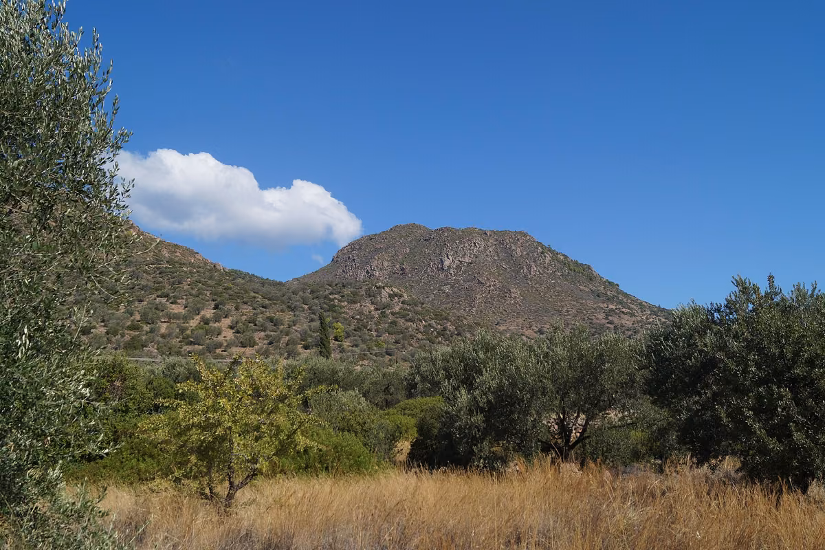 The wooded volcanic cone of Kosona on Methana