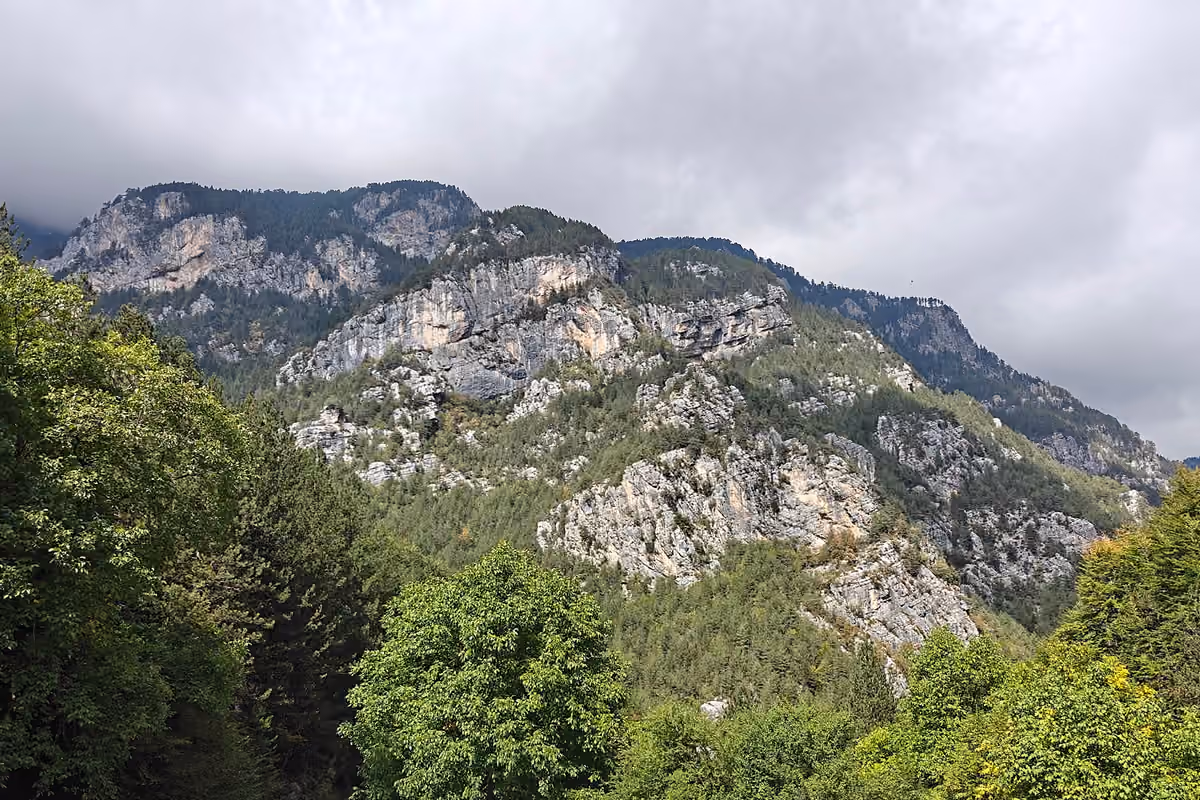 Forest and cliffs on the way up