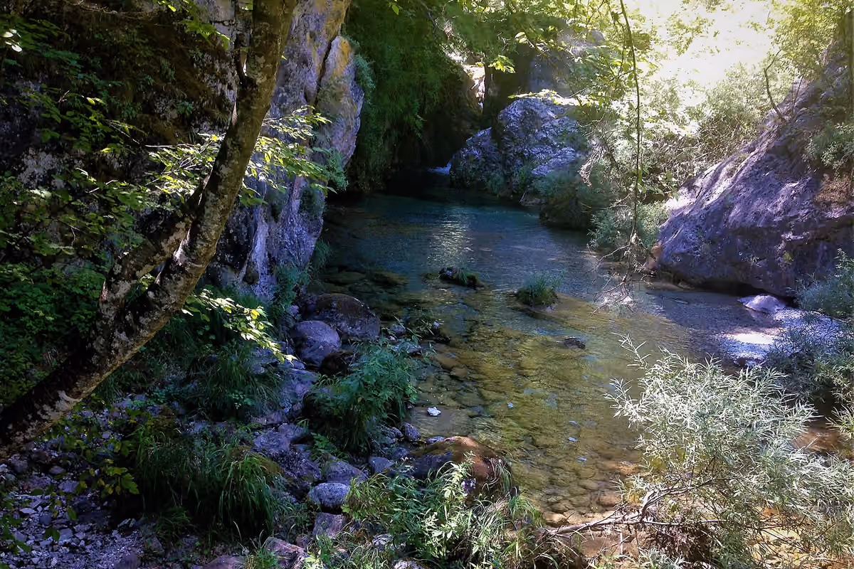 A pool in the gorge