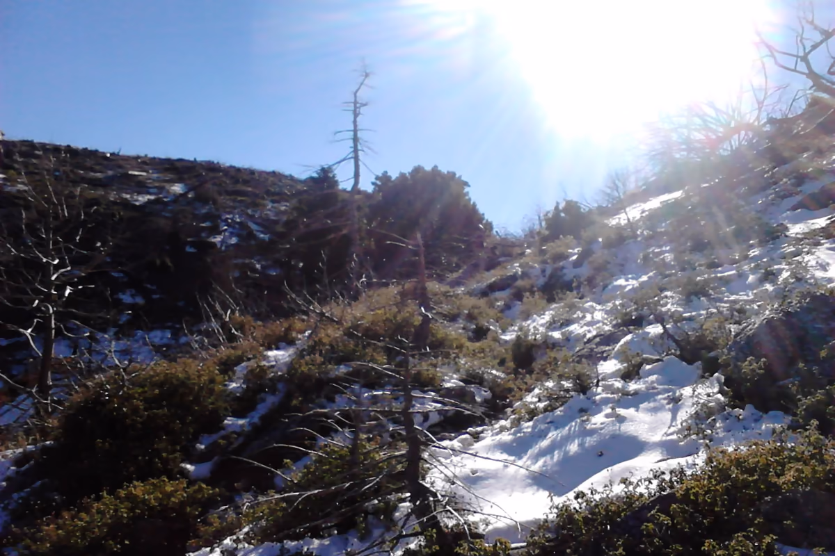 Snow on the upper slopes