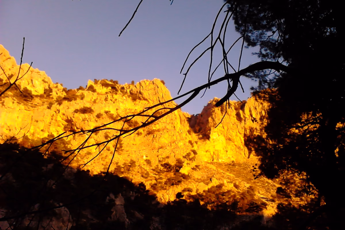 Cliffs in the evening light