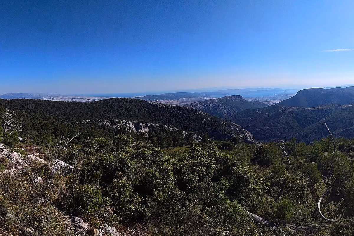 Looking out from the path
