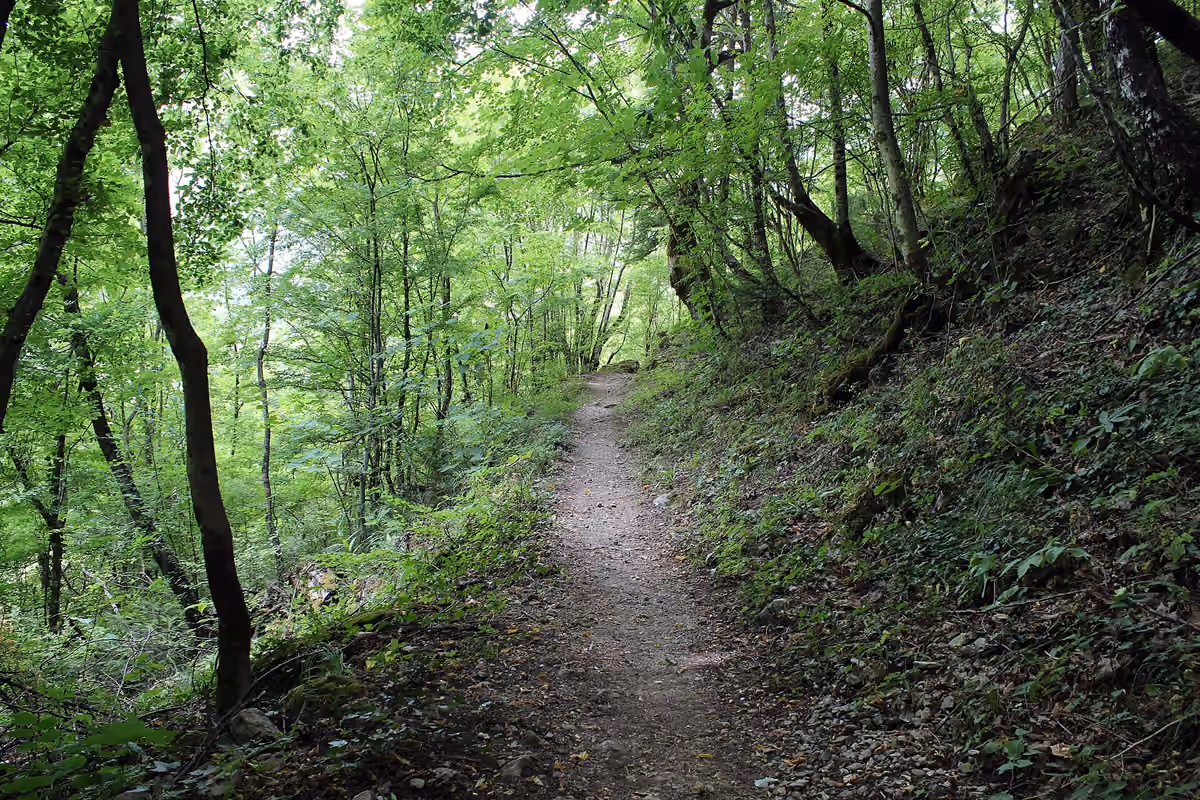 The path to Stomio monastery