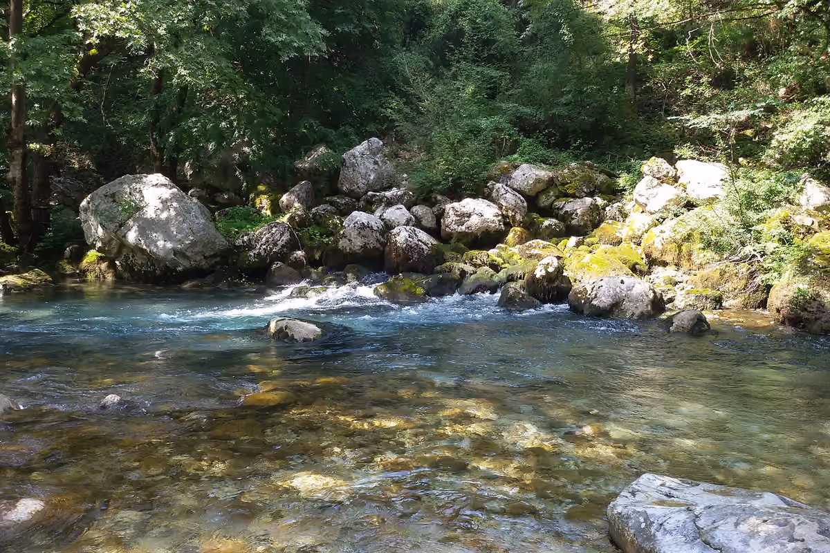 The springs of the Voidomatis